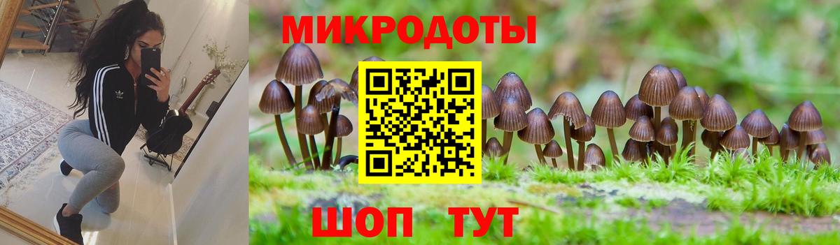 Псилоцибиновые грибы мицелий  Псилоцибиновые грибы Psilocybe  Орёл  Вход с VPN 